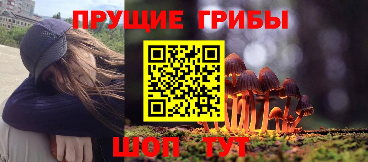 Галлюциногенные грибы Psilocybe  Вход с VPN  Ливны  Псилоцибиновые грибы мухоморы 